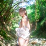 ヒメ日記 2026/07/28 13:20 投稿 Otone THE PREMIUM （プレミアム）