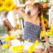 ヒメ日記 2026/07/30 11:40 投稿 Otone THE PREMIUM （プレミアム）
