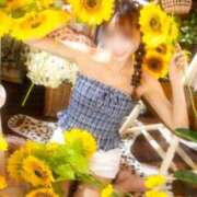 ヒメ日記 2026/08/01 01:27 投稿 Otone THE PREMIUM （プレミアム）