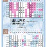 ヒメ日記 2026/08/11 20:20 投稿 Otone THE PREMIUM （プレミアム）