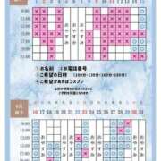 ヒメ日記 2026/08/13 20:20 投稿 Otone THE PREMIUM （プレミアム）