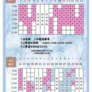 ヒメ日記 2026/08/18 20:20 投稿 Otone THE PREMIUM （プレミアム）