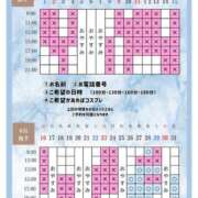 ヒメ日記 2026/08/25 20:01 投稿 Otone THE PREMIUM （プレミアム）