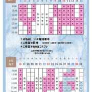 ヒメ日記 2026/08/26 20:20 投稿 Otone THE PREMIUM （プレミアム）