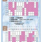 ヒメ日記 2026/08/28 20:20 投稿 Otone THE PREMIUM （プレミアム）