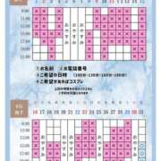 ヒメ日記 2026/08/29 20:00 投稿 Otone THE PREMIUM （プレミアム）