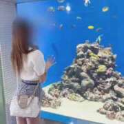ヒメ日記 2026/10/04 11:30 投稿 Otone THE PREMIUM （プレミアム）
