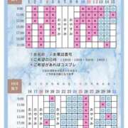 ヒメ日記 2026/10/12 20:20 投稿 Otone THE PREMIUM （プレミアム）
