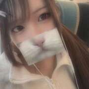 ヒメ日記 2026/04/14 15:43 投稿 浦和えれん 厚木OL委員会