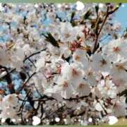 ヒメ日記 2025/04/06 17:59 投稿 かえで CoCoaco(ココアコ)大阪本店