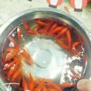 ヒメ日記 2025/07/24 23:21 投稿 かえで CoCoaco(ココアコ)大阪本店