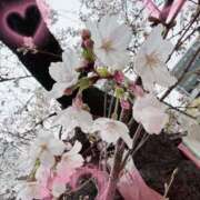ヒメ日記 2026/03/30 13:34 投稿 かえで CoCoaco(ココアコ)大阪本店