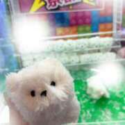 ヒメ日記 2026/04/22 20:29 投稿 かえで CoCoaco(ココアコ)大阪本店