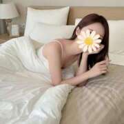 ヒメ日記 2025/11/19 16:16 投稿 風香 ドンファン