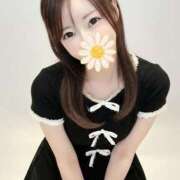 ヒメ日記 2025/12/29 21:04 投稿 風香 ドンファン