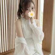 ヒメ日記 2026/02/10 22:15 投稿 風香 ドンファン