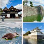 ヒメ日記 2024/12/27 00:19 投稿 かのん ドンファン