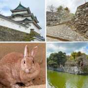 ヒメ日記 2025/03/15 00:18 投稿 かのん ドンファン