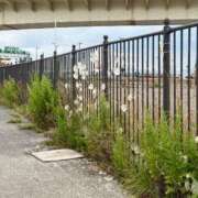 ヒメ日記 2025/07/26 22:00 投稿 かのん ドンファン