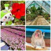 ヒメ日記 2025/09/02 00:01 投稿 かのん ドンファン