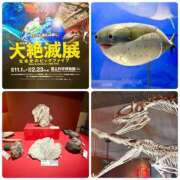 ヒメ日記 2025/12/12 01:05 投稿 かのん ドンファン