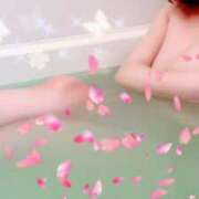 ヒメ日記 2026/03/29 13:45 投稿 セナ ドンファン