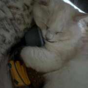 ヒメ日記 2025/01/09 21:47 投稿 れいな 完熟ばなな 立川