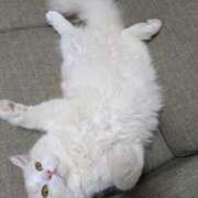 ヒメ日記 2025/02/05 22:47 投稿 れいな 完熟ばなな 立川