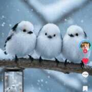 ヒメ日記 2025/02/21 11:07 投稿 れいな 完熟ばなな 立川