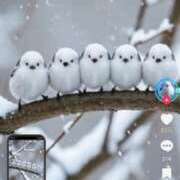 ヒメ日記 2025/03/08 20:27 投稿 れいな 完熟ばなな 立川