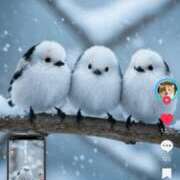 ヒメ日記 2025/03/12 18:57 投稿 れいな 完熟ばなな 立川