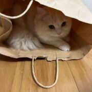 ヒメ日記 2025/05/06 20:17 投稿 れいな 完熟ばなな 立川