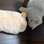 ヒメ日記 2025/06/12 14:27 投稿 れいな 完熟ばなな 立川