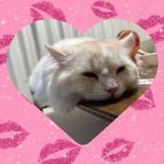 ヒメ日記 2025/10/02 20:13 投稿 れいな 完熟ばなな 立川