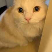 ヒメ日記 2025/11/07 17:37 投稿 れいな 完熟ばなな 立川