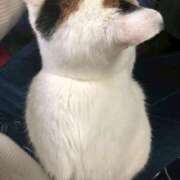 ヒメ日記 2025/11/16 17:07 投稿 れいな 完熟ばなな 立川