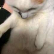 ヒメ日記 2026/01/16 12:27 投稿 れいな 完熟ばなな 立川