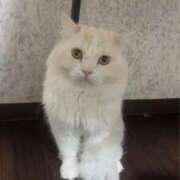 ヒメ日記 2026/01/22 18:27 投稿 れいな 完熟ばなな 立川