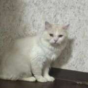 ヒメ日記 2026/03/26 10:27 投稿 れいな 完熟ばなな 立川