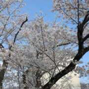 ヒメ日記 2026/03/31 10:05 投稿 れいな 完熟ばなな 立川