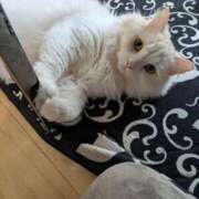 れいな 完熟バナナ立川店🍌れいな 完熟ばなな 立川