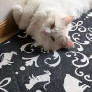 れいな 完熟バナナ立川店🍌れいな 完熟ばなな 立川