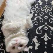 ヒメ日記 2026/04/16 08:07 投稿 れいな 完熟ばなな 立川