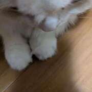 れいな 完熟バナナ立川店🍌れいな 完熟ばなな 立川