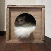 ヒメ日記 2026/06/17 16:47 投稿 れいな 完熟ばなな 立川