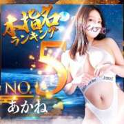 ヒメ日記 2025/07/02 12:09 投稿 あかね 変態なんでも鑑定団