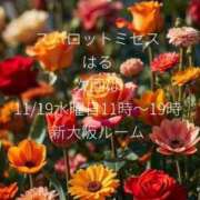 春-はる- はる@スパロットミセス SPALOT.Mrs（スパロットミセス）