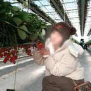 ヒメ日記 2025/01/05 08:18 投稿 小坂菜緒(なお) 東京不倫～とうきょうふりん～