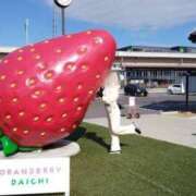 ヒメ日記 2025/01/20 11:08 投稿 小坂菜緒(なお) 東京不倫～とうきょうふりん～