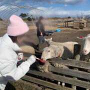 ヒメ日記 2025/02/13 23:32 投稿 小坂菜緒(なお) 東京不倫～とうきょうふりん～